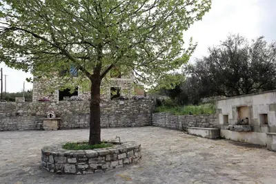 a tree in front of a stone wall at Traditional Villa in Pemonia in Pemónia