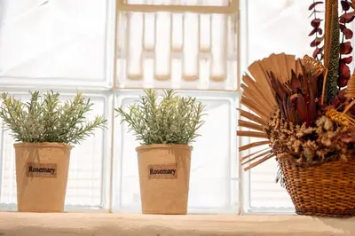three potted plants sitting on a window sill at The Morus House with Private pool in Melidhónion