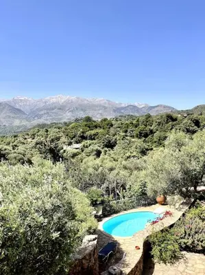 an overhead view of a swimming pool in a forest at Maison Théia, entre mer et montagne Samonas in Samonás