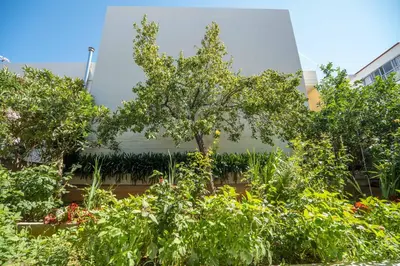 a tree in a garden in front of a building at The Nest of Urban Living by 8essentially in Chania Town