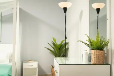 a bedroom with two plants on a dresser with a mirror at ''Meraviglia casa'' Ariadne in Kato Daratso