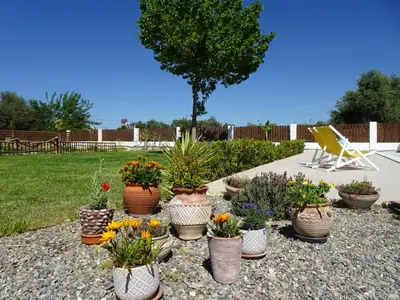 a group of potted plants sitting in a yard at Katikies Savrani in Perivólia