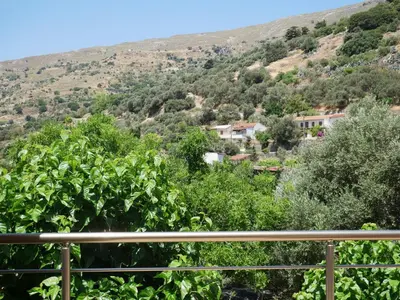 a view of a vineyard from the balcony of a house at Katerina's house in Kefálion