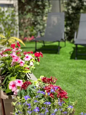 a group of flowers in a garden with two benches at Ivy, 4 minutes from the sea in Chania Town