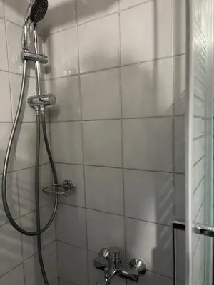 a shower with a shower head in a bathroom at The Twin Pines Home in Kounoupidhianá