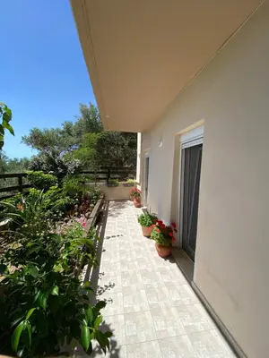 a patio with potted plants on the side of a building at Koundouros Home in AmigdhalokeFálion