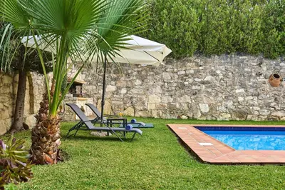 a pool with a chair and an umbrella and a palm tree at Villa Elia by PosarelliVillas in Vryses