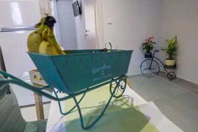 a blue cart with a bunch of bananas in it at The house of JohnKou in Chania Town