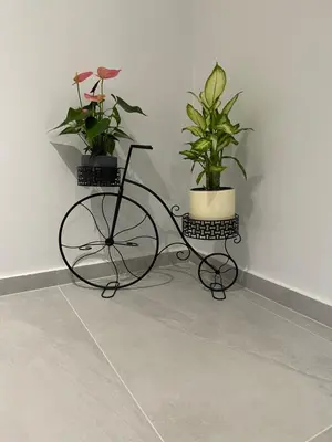 a black bike with two plants on a wall at The house of JohnKou in Chania Town