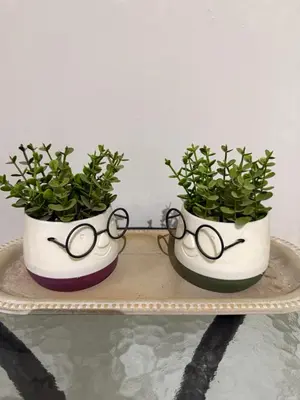 two potted plants sitting on a shelf with glasses at The house of JohnKou in Chania Town