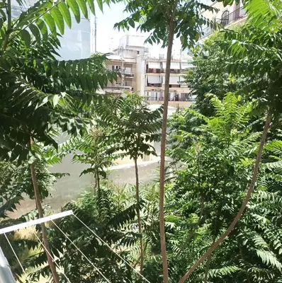 a group of trees with a building in the background at Sfakion 6 apartment in Chania Town