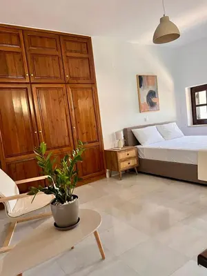 a bedroom with a bed and a potted plant at Canevaro Twins (North) in Chania Town