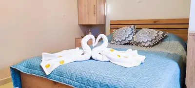 two swans are sitting on top of a bed at Shiny Luxe :) in Kissamos