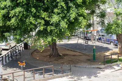 a park with a tree and a motorcycle parked under it at Elena Apartment in Chania Town