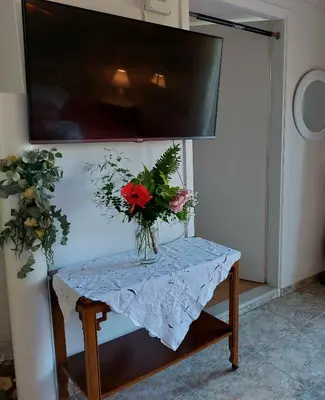 a vase of flowers on a table with a tv at Argy Cozy Apartment (Όμορφο Διαμέρισμα στα Χανιά) in Chania Town