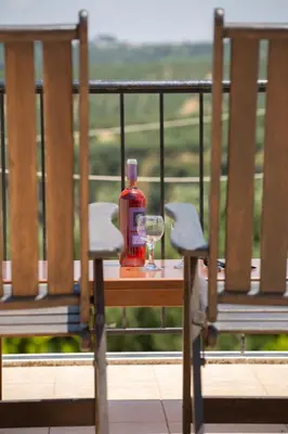 a bottle of alcohol sitting on a table with a glass at Villa Henry Darmarohori in Darmarochori