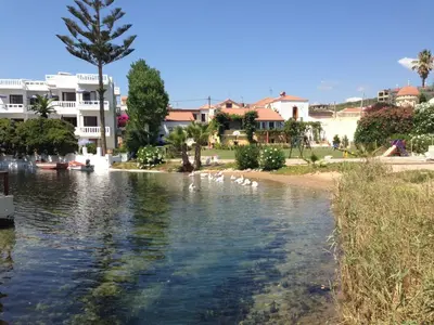 a group of ducks swimming in a river with buildings at Asterias Studios & Apartments in Kalyves
