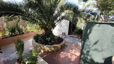 a palm tree in a pot in a courtyard at Dominic Central Venetian Castle Old Port Apartment in Chania Town