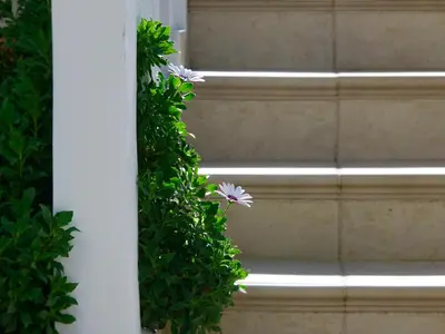 a wreath of flowers on the stairs of a building at Flamingos Hotel Apartments in Kato Daratso