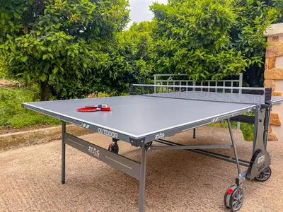 a ping pong table in front of a bush at The Stone House - Two Bedrooms Maisonette in Avdhoulianá