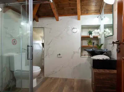 a bathroom with a shower and a toilet and a sink at Geroulios Kastro Villas I 