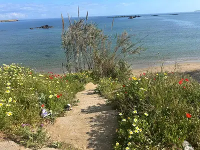a path leading to a beach with flowers at W Apartment in Chania Town