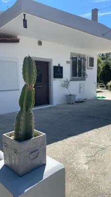 a cactus in a pot sitting in front of a building at Gesthimani's Residence in Áyios Yeóryios