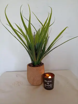 a plant in a pot next to a candle at Chania Mini Villas in Skinés