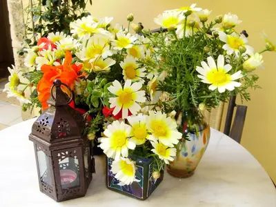 two vases with flowers and a lantern on a table at Madonna Studios in Chania Town