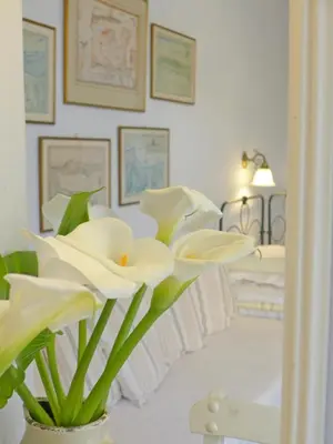 a white flower in a vase in a bedroom at Pension Eva in Chania Town
