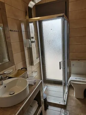 a bathroom with a sink and a shower and a toilet at Olive and Aloe Villas in Nomikianá