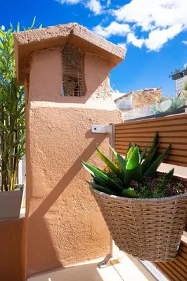 a plant in a basket next to a building at Suite Maritime in Chania Town