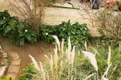 a garden with white flowers and plants next to a wall at Tatiana's Garden House in Chania Town