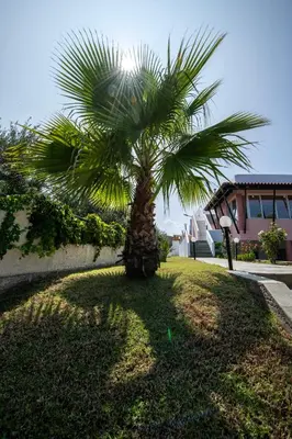 a palm tree in a yard with a building at Eleni Residence by the sea in Ropanianá