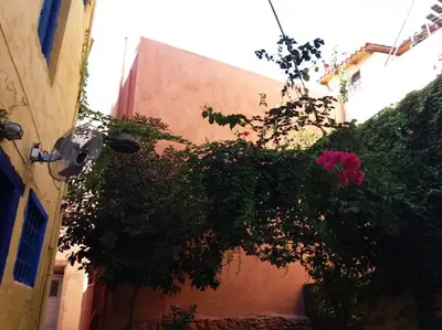 a building with a bunch of plants and flowers at Cozy house in the old town in Chania Town