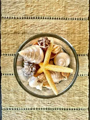 a plate of shells and starfish on a table at Aggelos and Thisbe Chania Suburbs Sea View Guest House in Chania Town