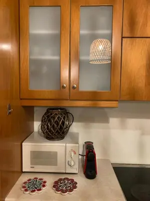 a kitchen counter with a microwave and a bowl at Aggelos and Thisbe Chania Suburbs Sea View Guest House in Chania Town