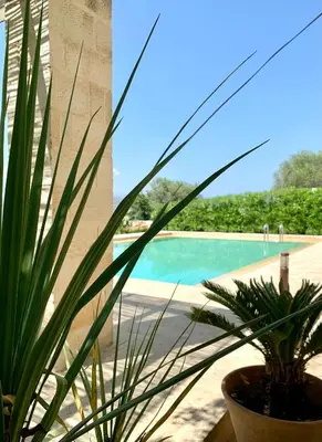 a potted plant sitting next to a swimming pool at Aggelos and Thisbe Chania Suburbs Sea View Guest House in Chania Town