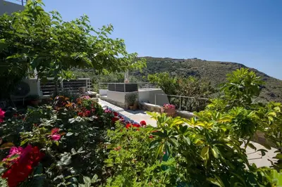 a garden with flowers and plants in front of a hill at Vigla Apartments No.3 in AmigdhalokeFálion