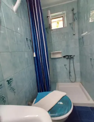 a bathroom with a shower and a toilet and a sink at Stamatias Home, fully equipped cottage 5 minutes from the sea in Chania Town
