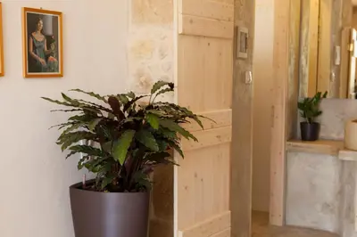 a plant in a pot in a room at Cretan cottage of 1900 with beautiful olive yard in Kissamos