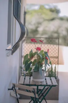 a potted plant sitting on a table next to a window at Summer Blue Apartments Chania in Chania Town
