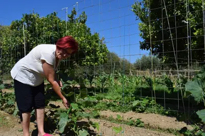 a woman is standing in a vegetable garden at Agrabeli Cot Not Just a Stay A Unique Experience in Plátanos