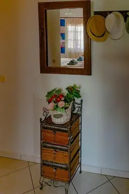 a mirror and a dresser with a potted plant on it at Seize the seas in Kalamaki Chanion